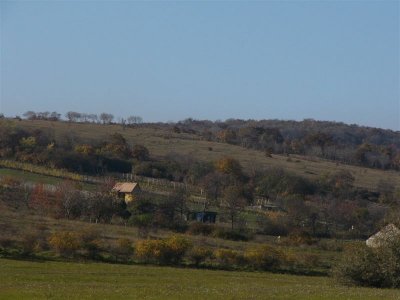 1007-2007 363.jpg