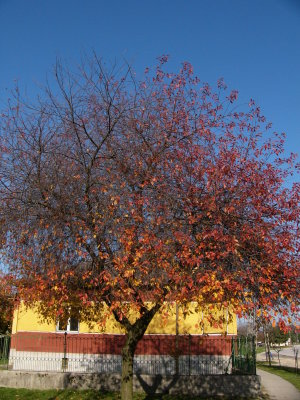 1007-2007 370.jpg