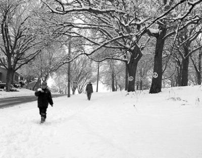 Protesting Global Warming in a snowstorm