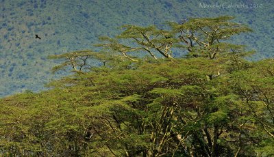 TANZANIA landscapes