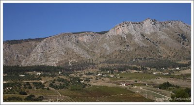 Direction Trapani