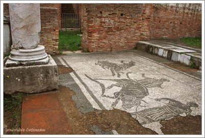 Mosaque sacrifice du taureau  / Mosaici con  sacrificio del toro