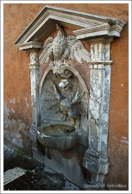 Petite fontaine   /  Fontanella destra di palazzo della Rovere