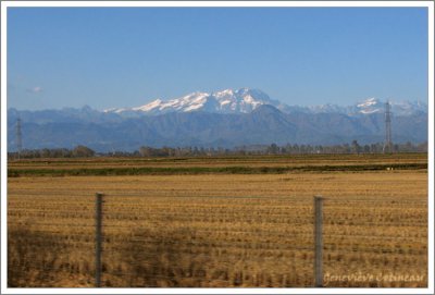 Monte Rosa