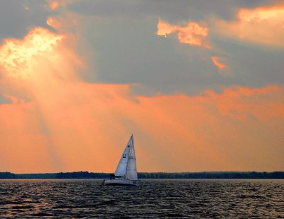 Sails in the sunset