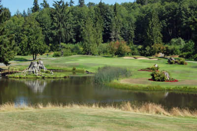 Timber Course #8