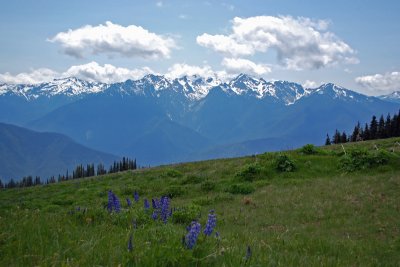 Olympic Mountains