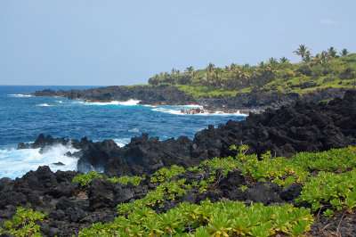 Ocean and lava rock