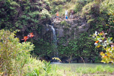 Road to Hana - Waterfall