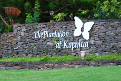 Kapalua Plantation