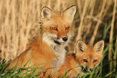 Mere et fils_2_1.jpg