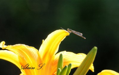 IMG_4776