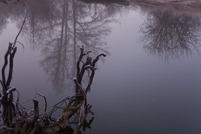 Reflections on a Misty Morning