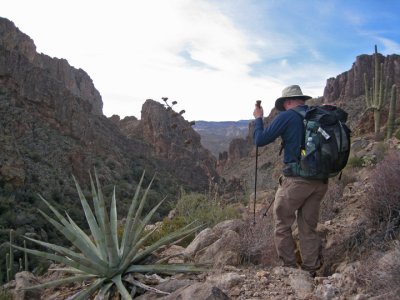 Andy and agave