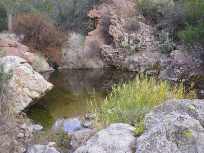 Our water source - Charlebois Spring