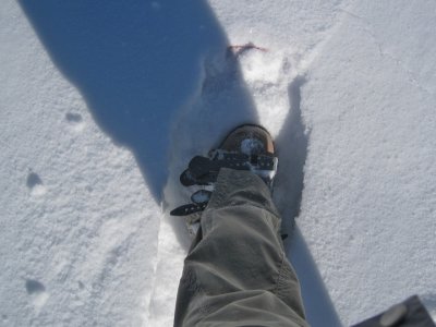 Snowshoes actually sink a bit