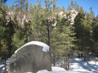 Snowcapped boulder