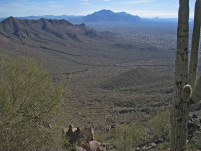 View back toward trail head