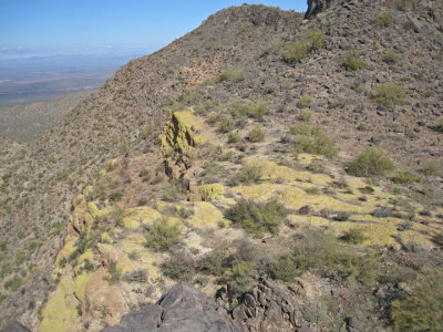 View north along ridge