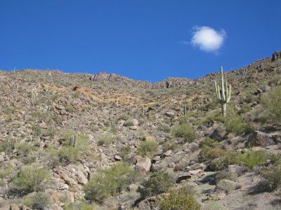 The look back up towards the ridge