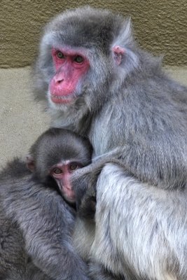 IMG_4554ed2.jpg