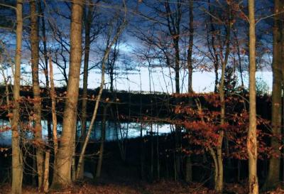 deer camp 2005-11-10_0004.jpg