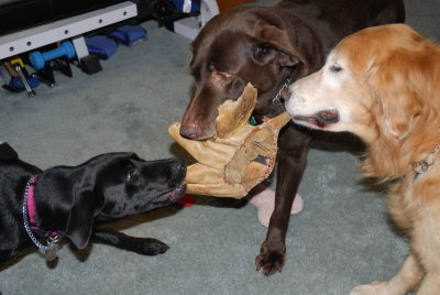triple play