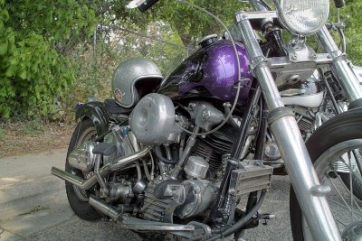 SDIM8260_1_2 - purple Knucklehead