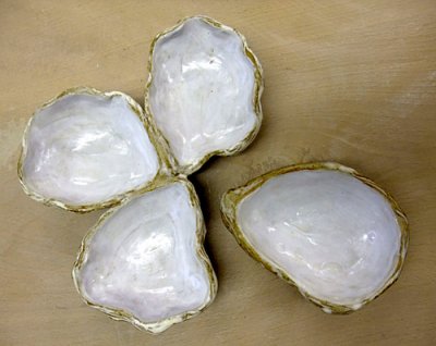  Dinah's ceramic oysters