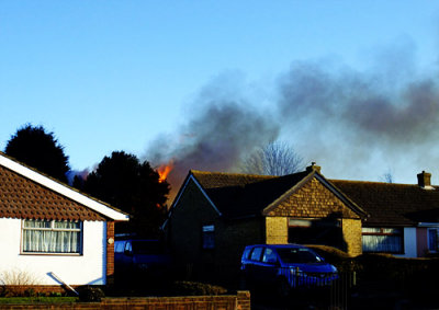 ...  perhaps our new neighbours dont care for trees ...