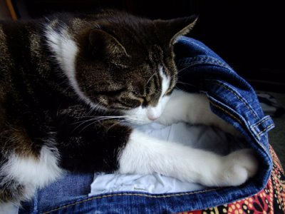 Lily in jeans
