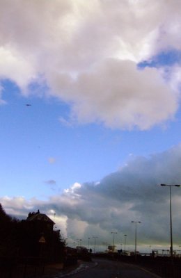 Dover
