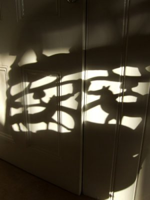 Shadow-play