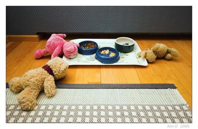 060122 feeding friends