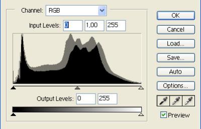 levels_example