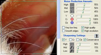 sharpening_Neatimage_example.jpg