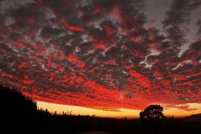 Ciel en feu / Burning sky