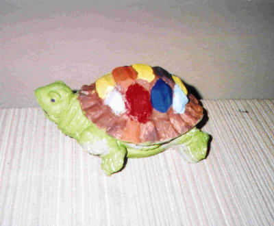 Zachary's Turtle