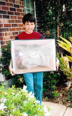 Dustin shows off his Horses