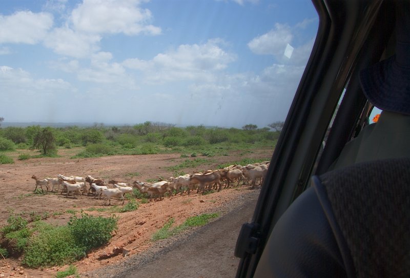 Rural Kenya