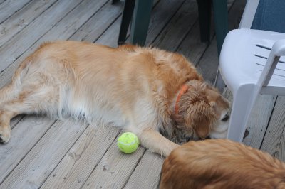 image60.jpg