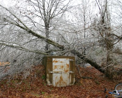 1 of 2 trees down