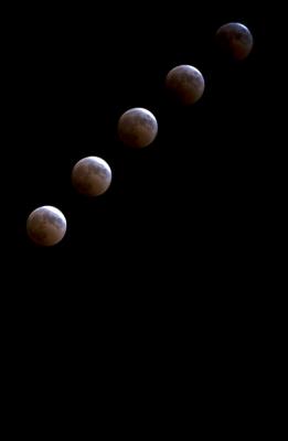 goodnight moon