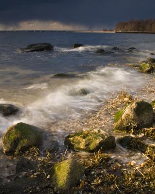 THE SHORE