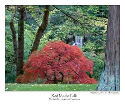 Red Maple Falls.jpg