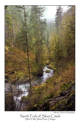 North Fork of Silver Creek.jpg