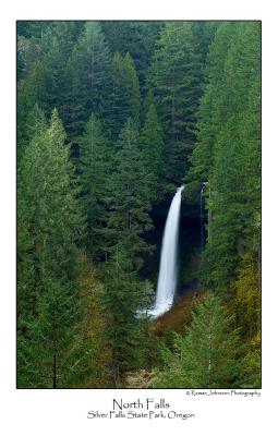 g3/91/385991/3/58104309.NorthFallsPerspective.jpg