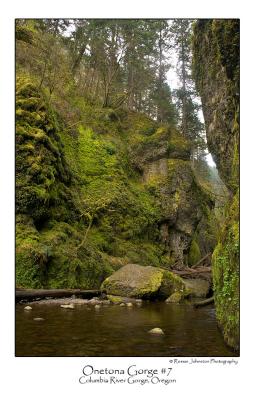 Oneonta Gorge 7.jpg