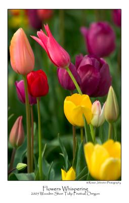 g3/91/385991/3/58697043.FlowersWhispering.jpg