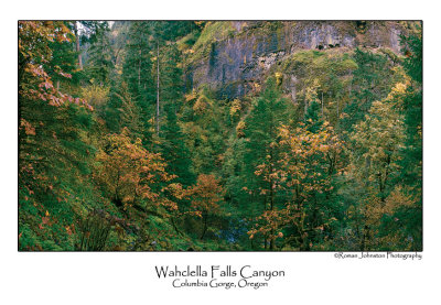 Wahclella Falls Canyon Pano.jpg